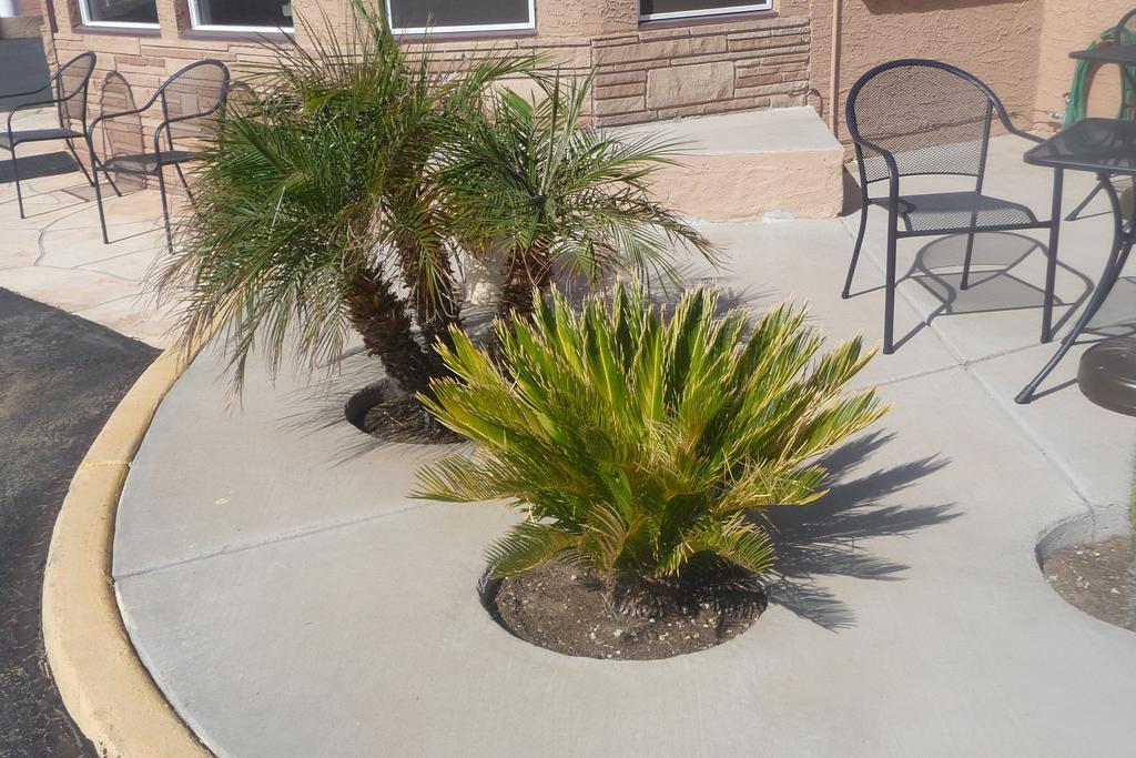 Palms Inn Gila Bend Exterior foto